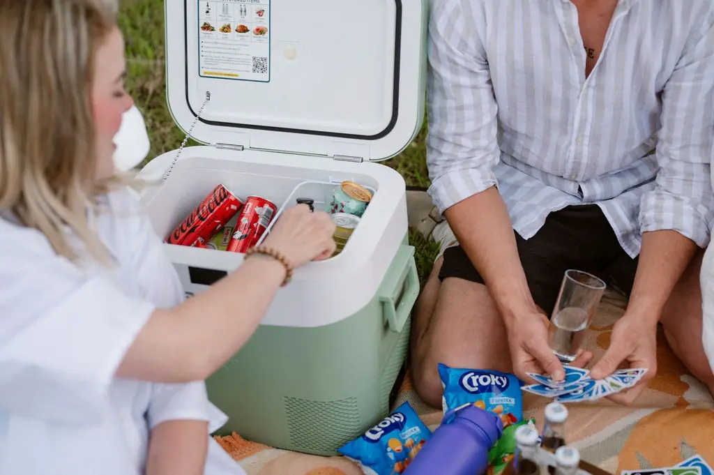Summer Black Friday - Picnic